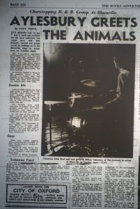 Animals review